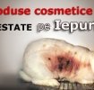 Produse farmaceutice si cosmetice testate pe animale!